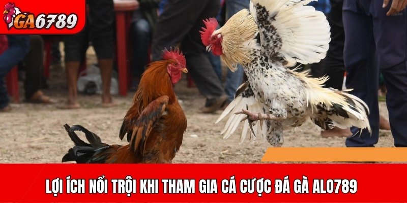 Lợi ích nổi trội khi tham gia cá cược đá gà ALO789