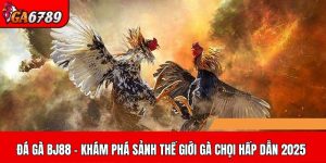 đá gà BJ88