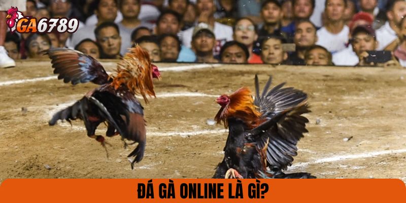 Đá gà online là gì?