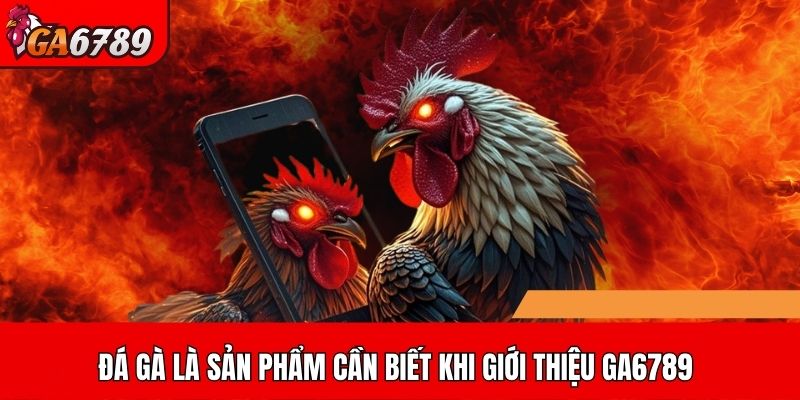Đá gà là sản phẩm cần biết khi giới thiệu GA6789