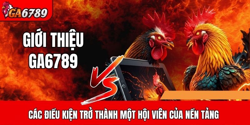 Các điều kiện trở thành một hội viên của nền tảng