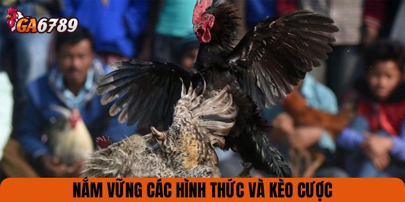 Nắm vững các hình thức và kèo cược