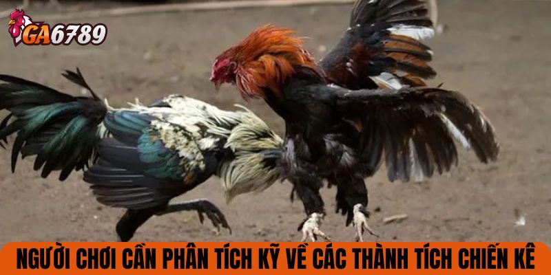Người chơi cần phân tích kỹ về các thành tích chiến kê