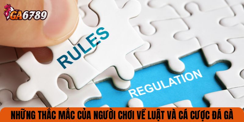 Những thắc mắc của người chơi về luật và cá cược đá gà