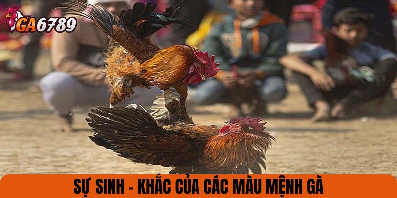 Sự sinh - khắc của các màu mệnh gà