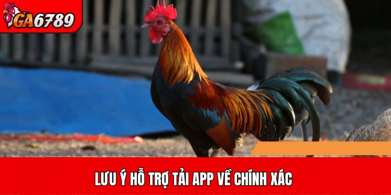 Lưu ý hỗ trợ tải app về chính xác